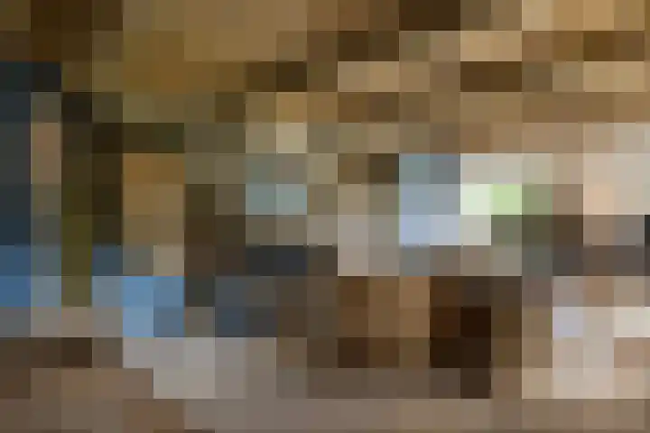 Heusdensebaan 97 Oisterwijk thumbnail 5