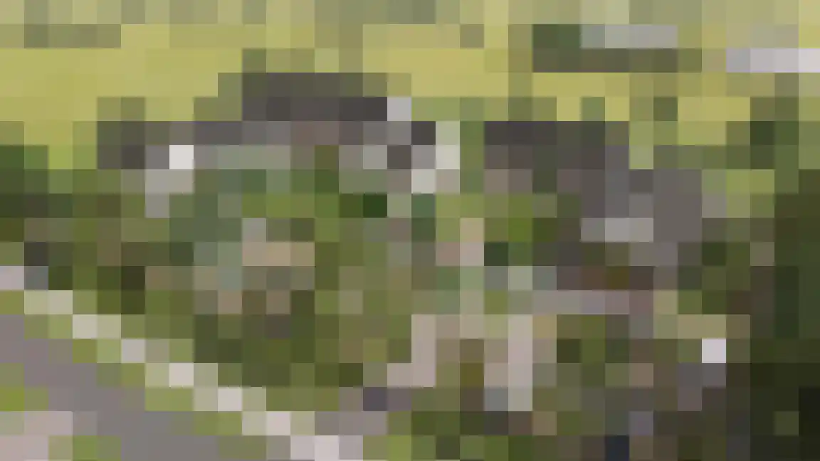 Heusdenseweg 1 Herpt thumbnail 5