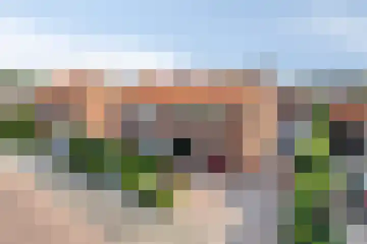 Heusdenseweg 13 A Elshout thumbnail 6
