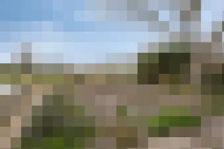 Heusdenseweg 15 Haarsteeg thumbnail 28