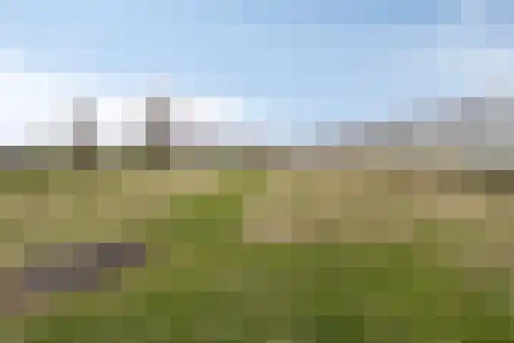 Heusdenseweg 15 Haarsteeg thumbnail 31