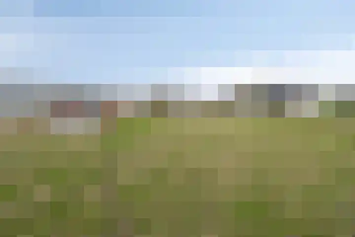 Heusdenseweg 15 Haarsteeg thumbnail 4