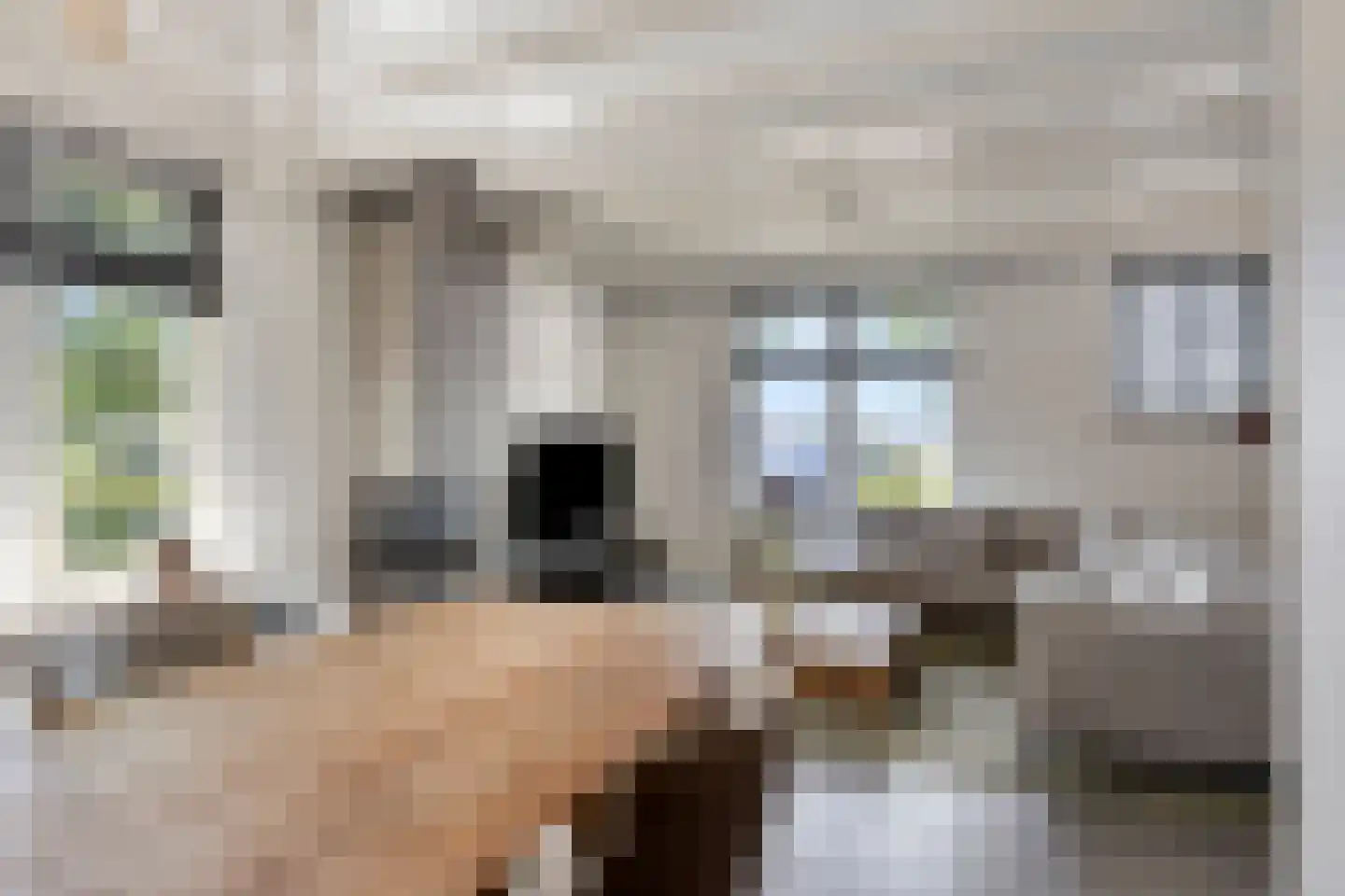 Heusdenseweg 20 Elshout thumbnail 12