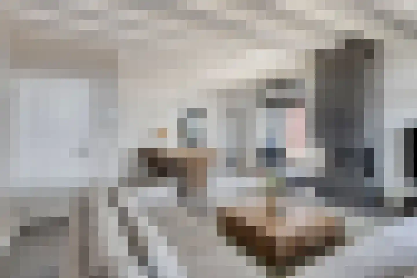 Heusdenseweg 20 Elshout thumbnail 13