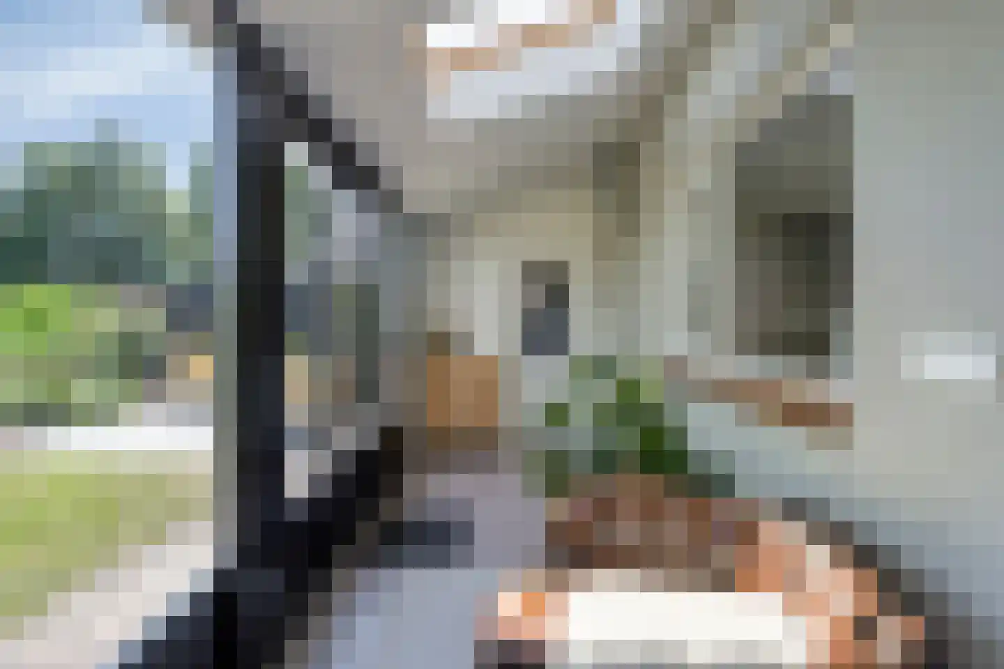 Heusdenseweg 20 Elshout thumbnail 21