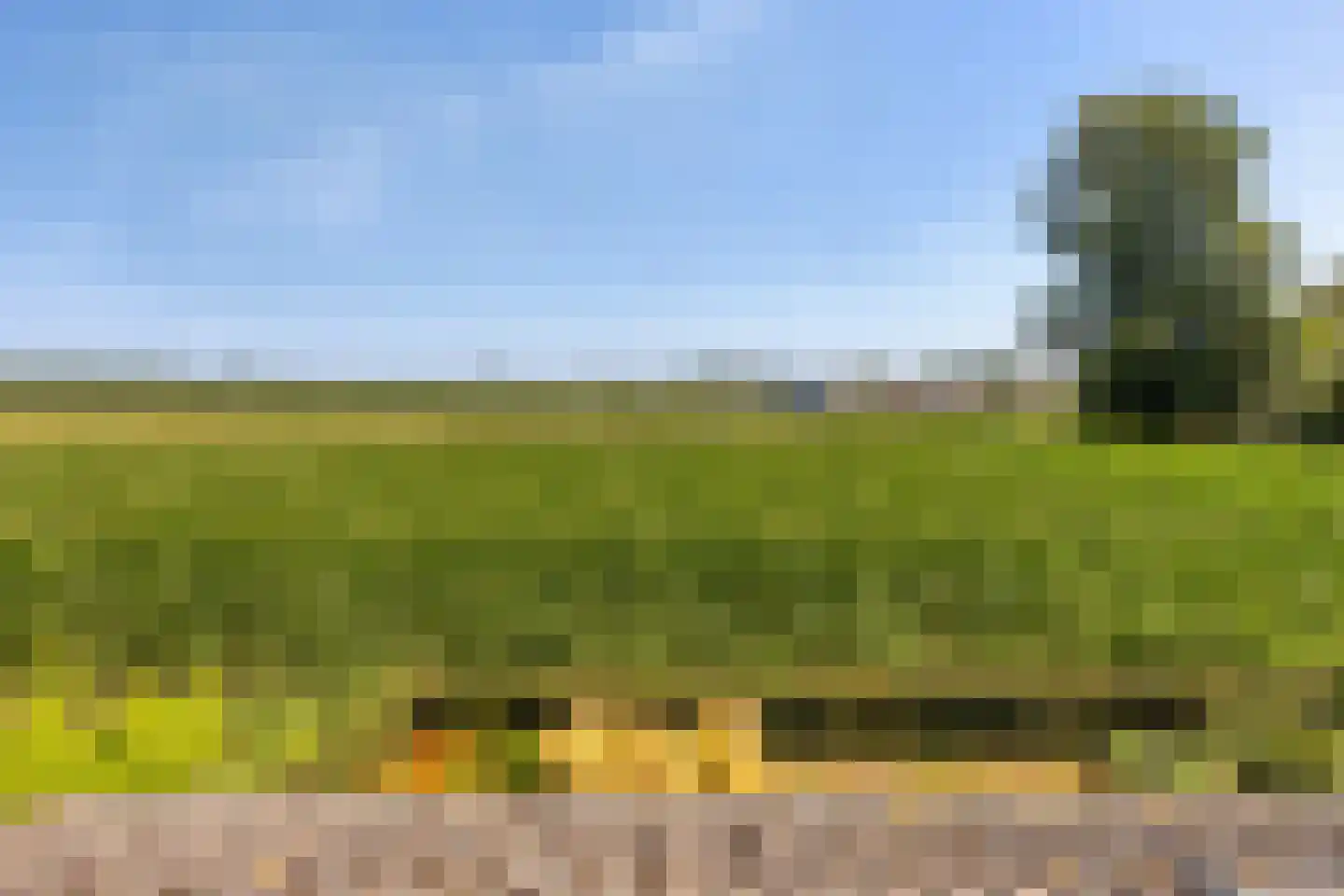 Heusdenseweg 20 Elshout thumbnail 28