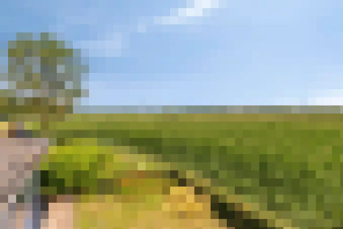 Heusdenseweg 20 Elshout thumbnail 40