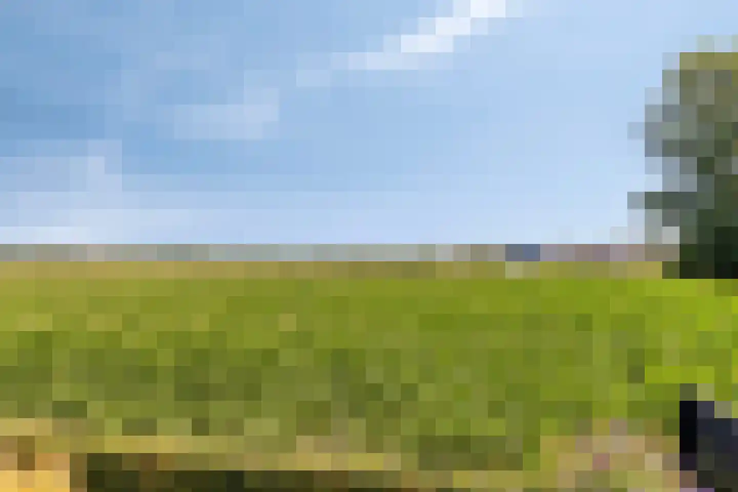Heusdenseweg 20 Elshout thumbnail 41