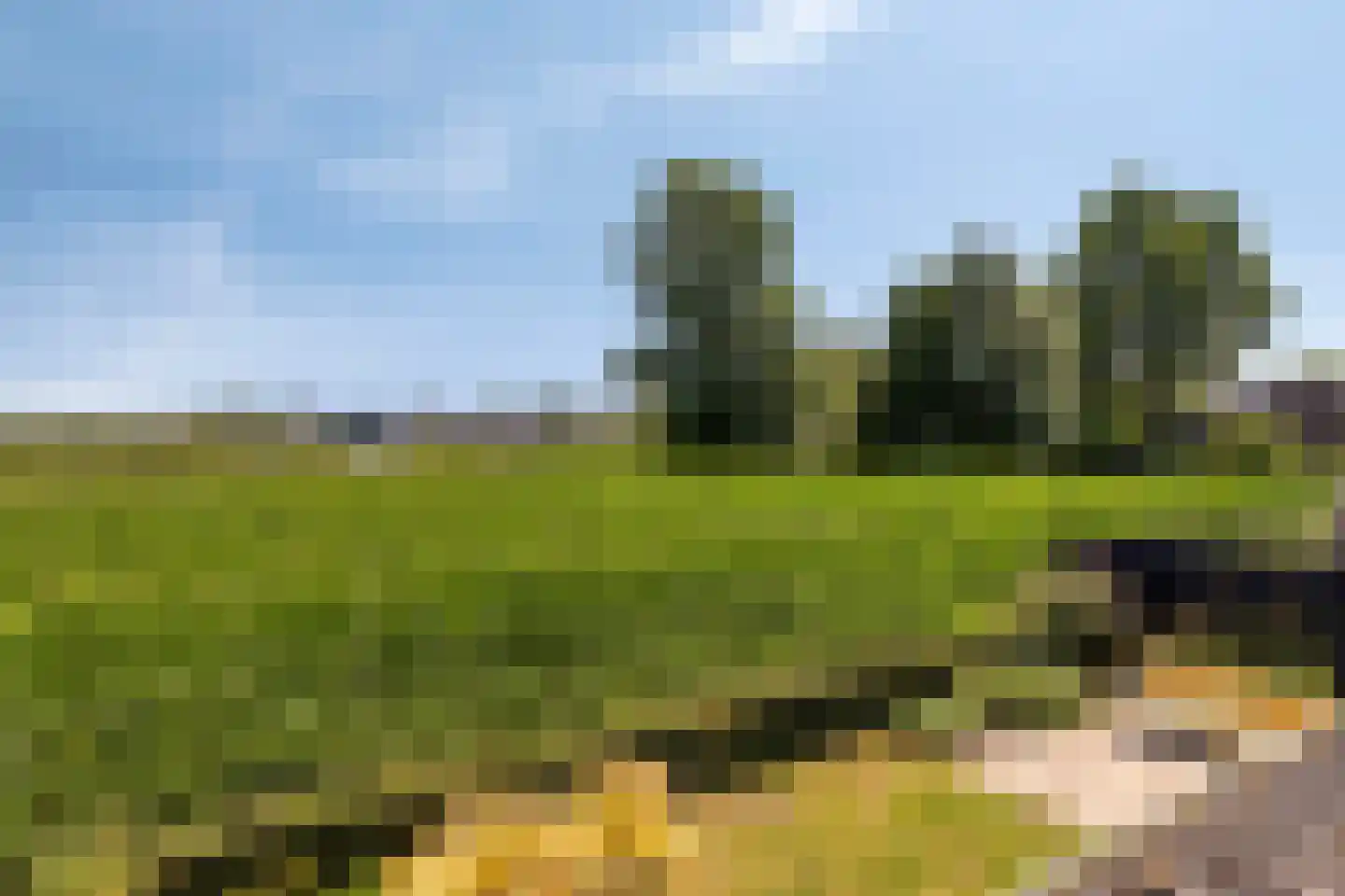 Heusdenseweg 20 Elshout thumbnail 42
