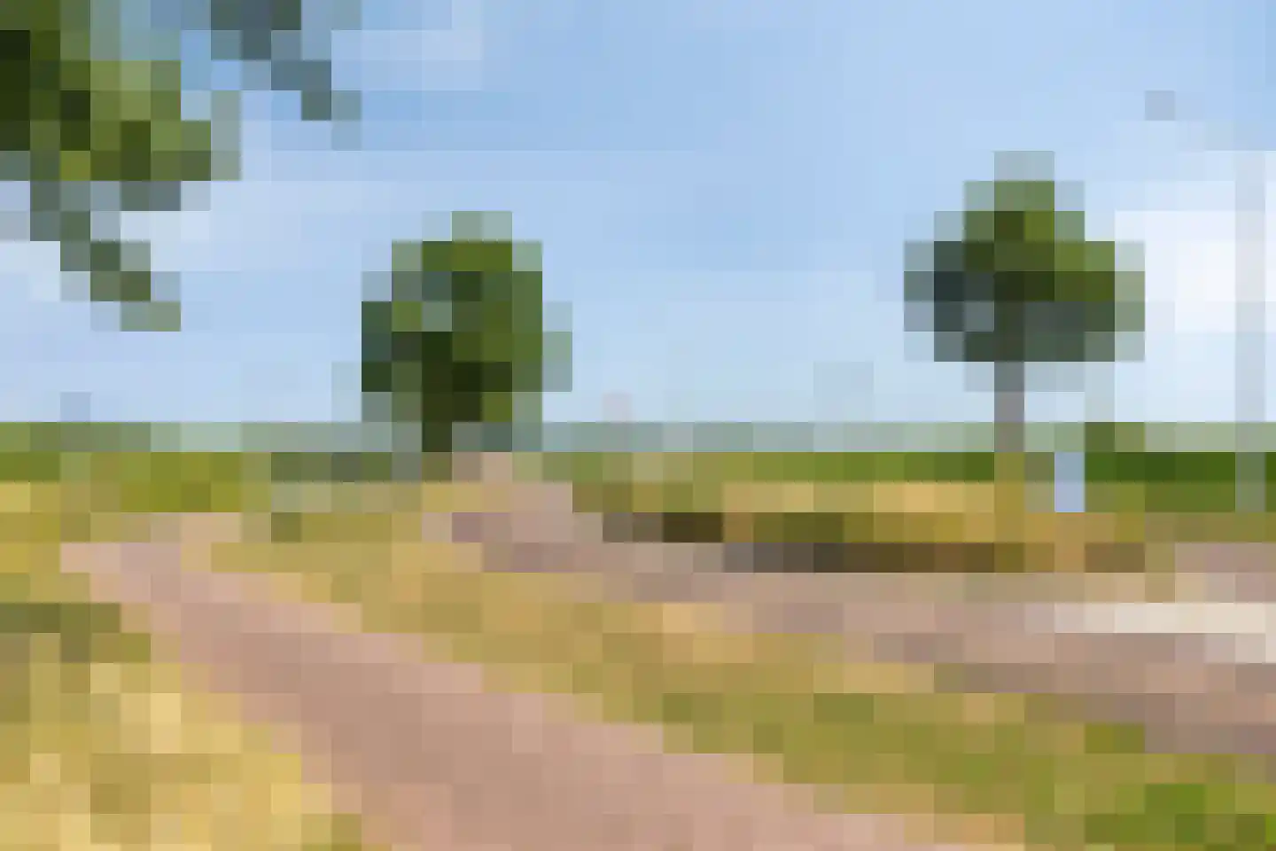 Heusdenseweg 20 Elshout thumbnail 50