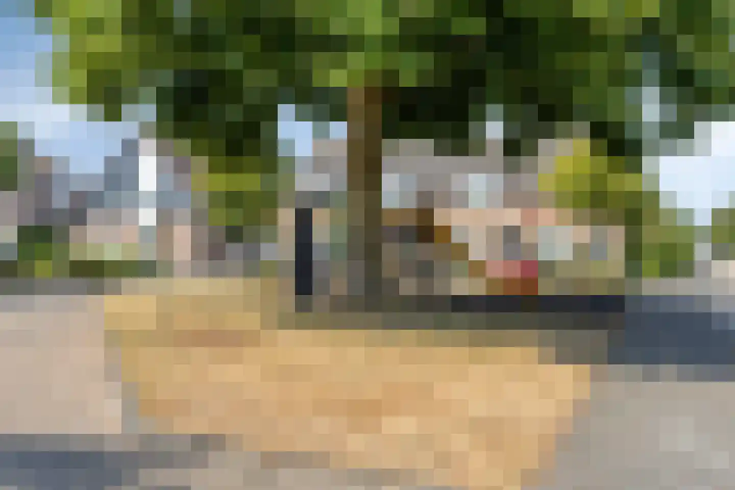 Heusdenseweg 20 Elshout thumbnail 51