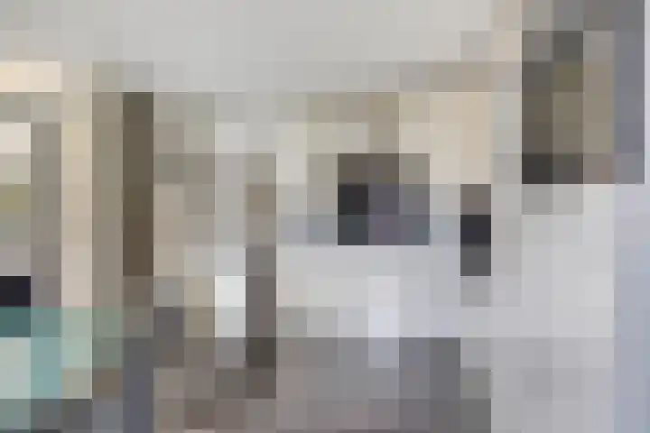 Heusdenseweg 7 Elshout thumbnail 16