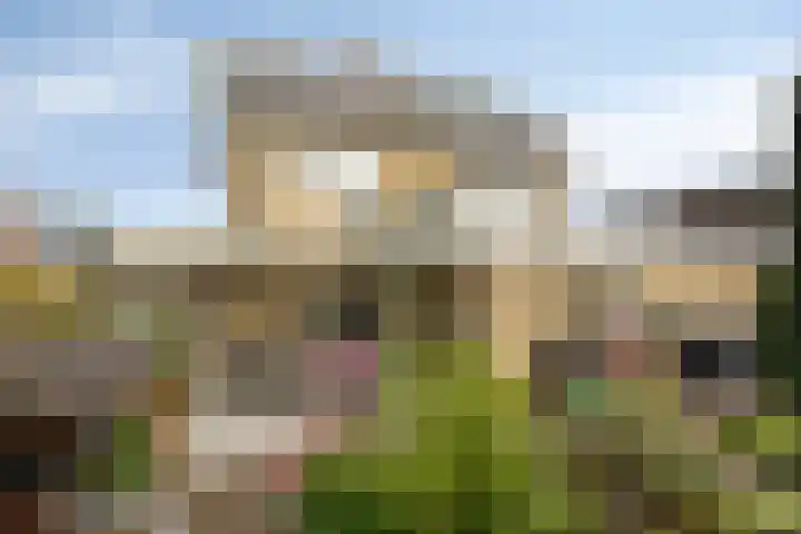 Heusdenseweg 7 Elshout thumbnail 39