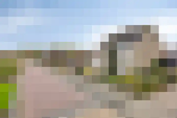Heusdenseweg 7 Elshout thumbnail 4