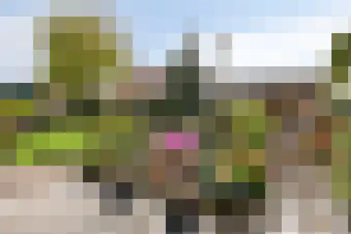 Heusdenseweg 7 Elshout thumbnail 42