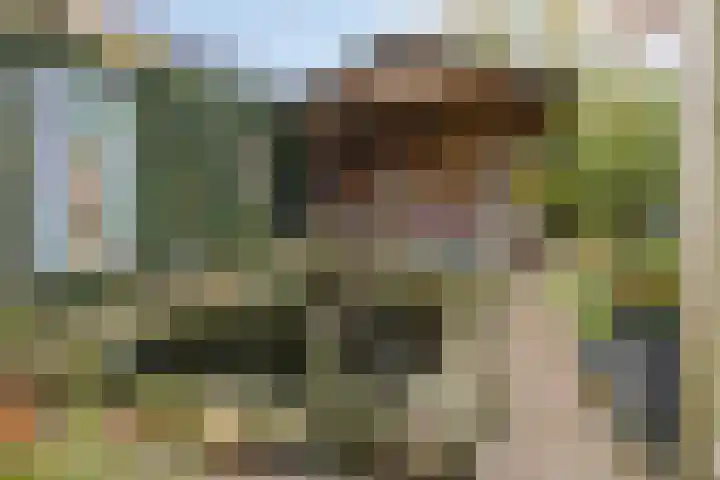 Heusdenseweg 7 Elshout thumbnail 43