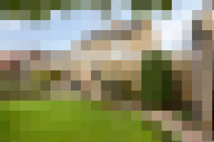 Heusdenseweg 7 Elshout thumbnail 45