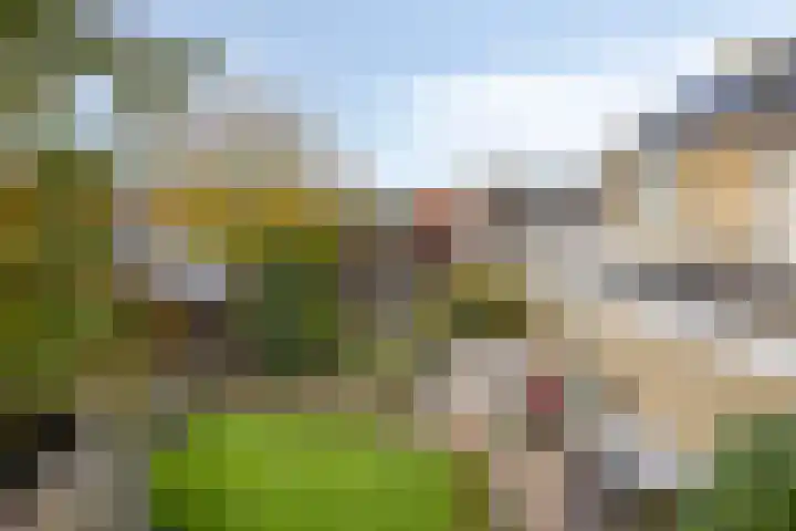 Heusdenseweg 7 Elshout thumbnail 46