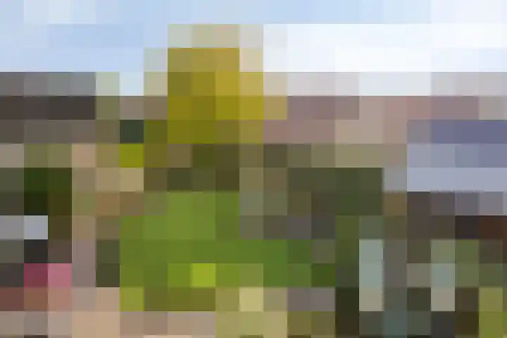 Heusdenseweg 7 Elshout thumbnail 47
