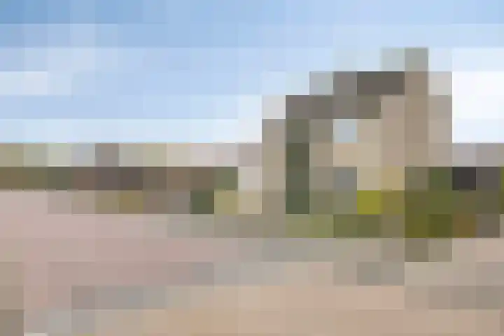 Heusdenseweg 7 Elshout thumbnail 50
