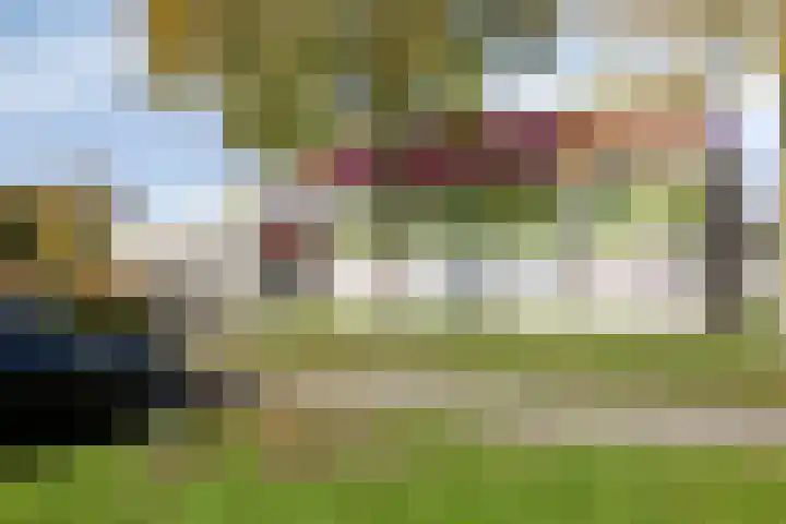 Heusdenseweg 7 Elshout thumbnail 53