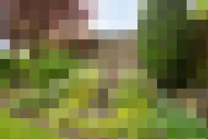 Heusdenseweg 9 Elshout thumbnail 37