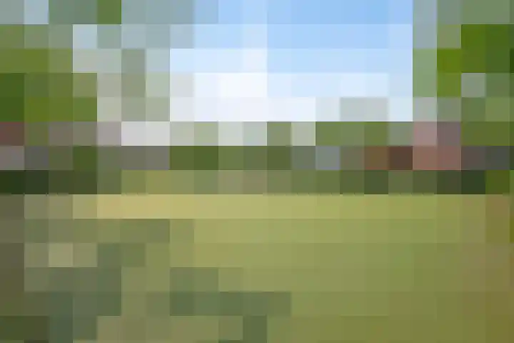 Heusdenseweg 9 Elshout thumbnail 45