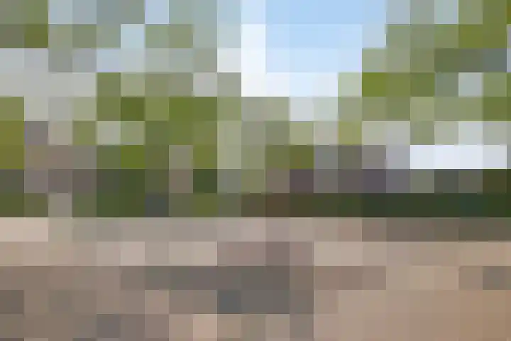Heusdenseweg 9 Elshout thumbnail 46