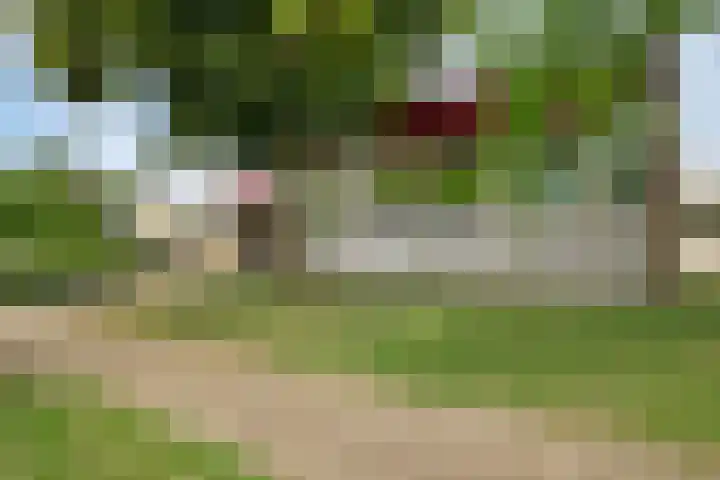 Heusdenseweg 9 Elshout thumbnail 47