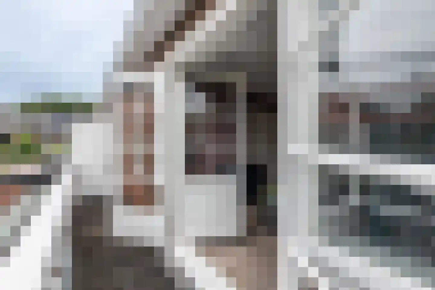 Heussensstraat 100 Haarlem thumbnail 29