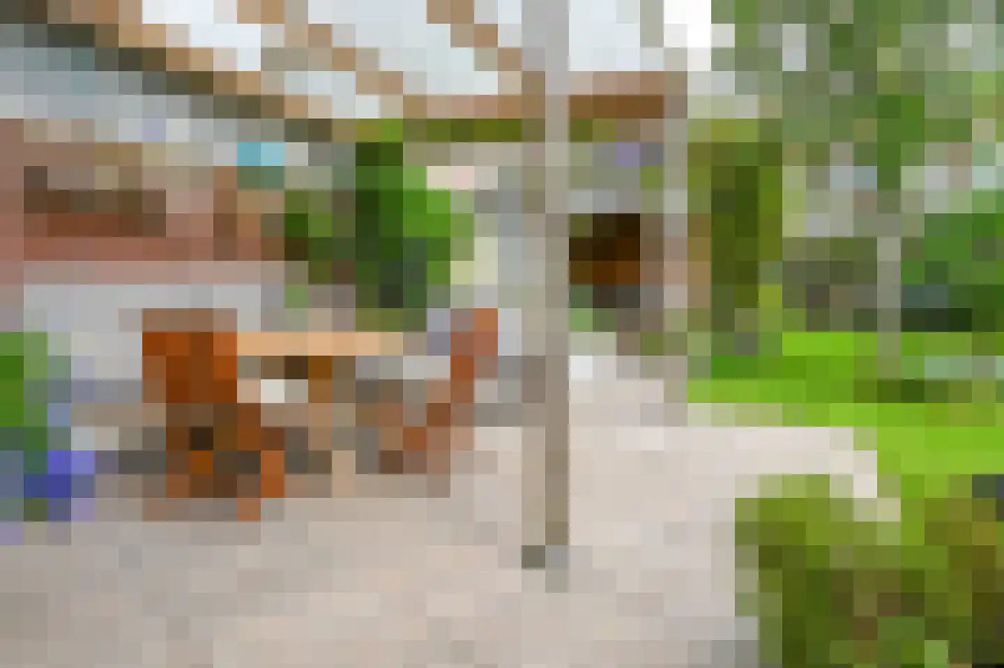 Heussensstraat 40 Haarlem thumbnail 35