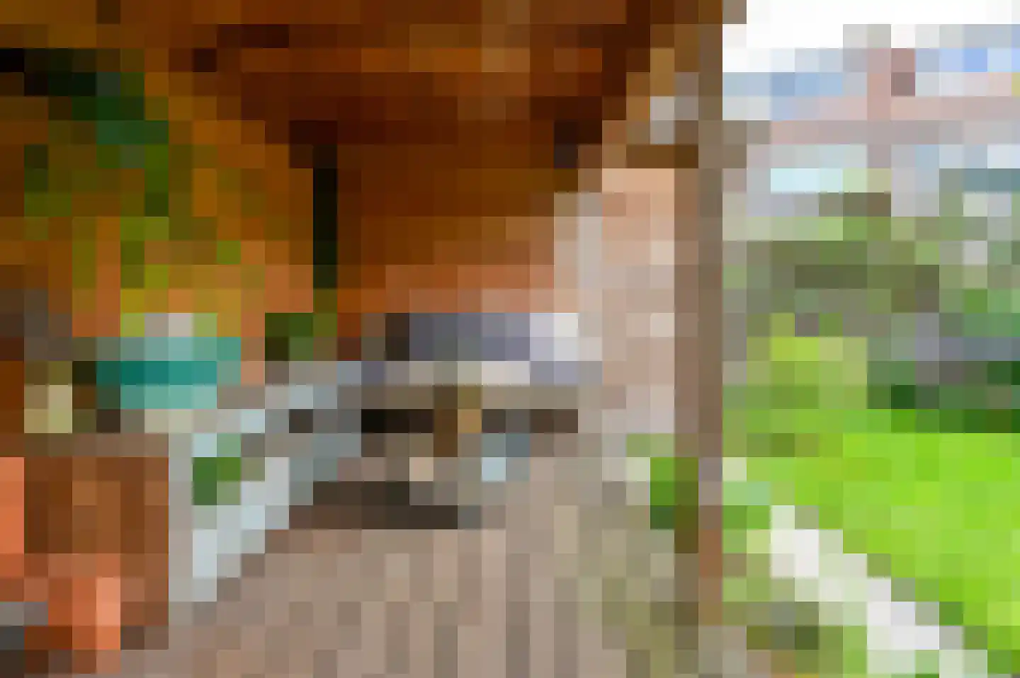 Heussensstraat 40 Haarlem thumbnail 37