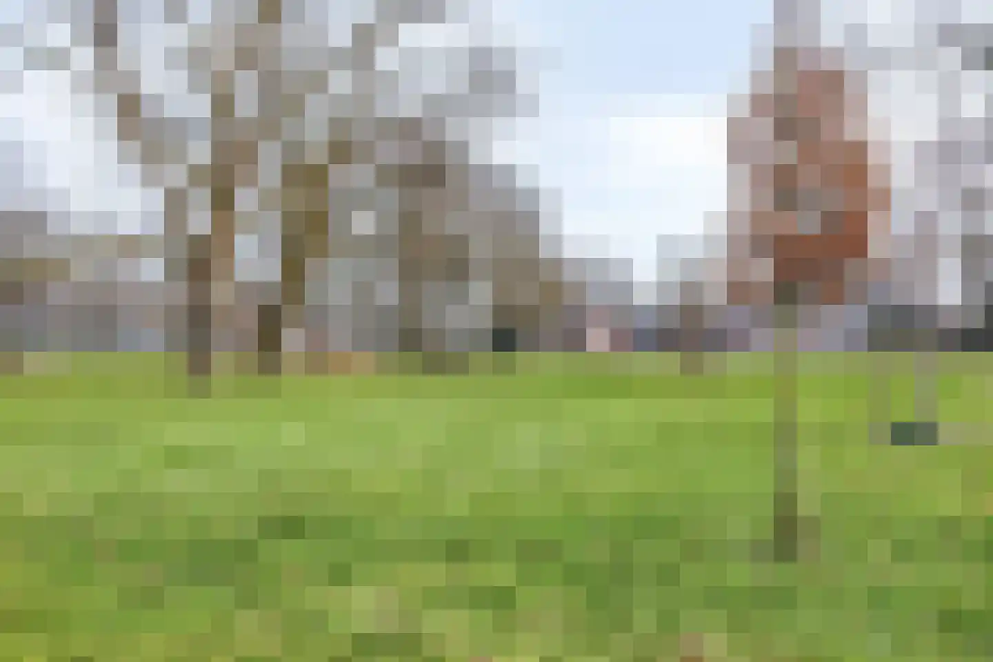 Heutinkstraat 37 Enschede thumbnail 22