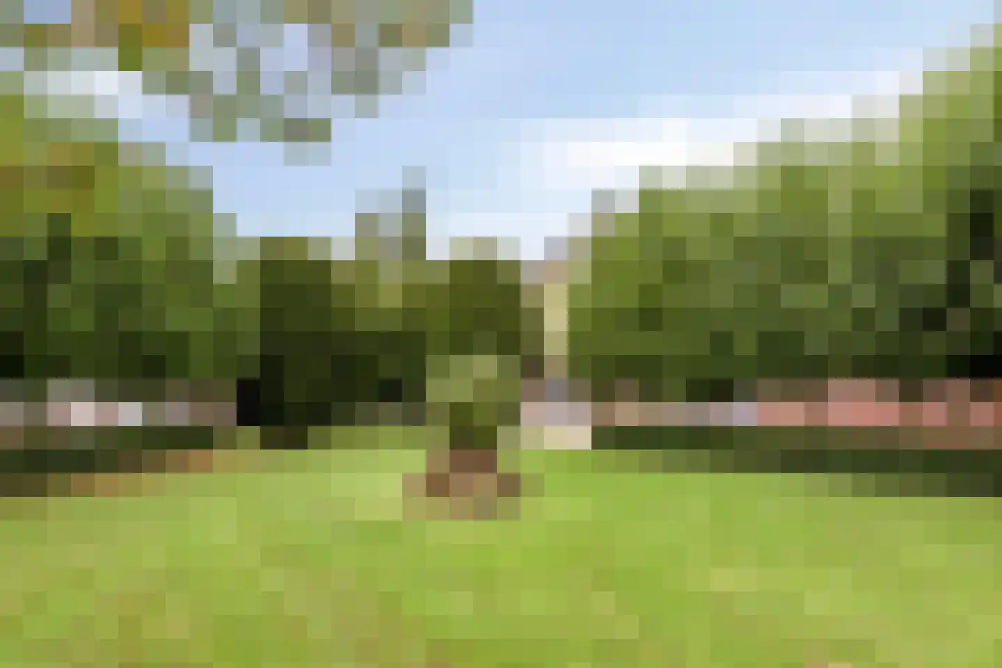 Heuvel 1 A Dongen thumbnail 6