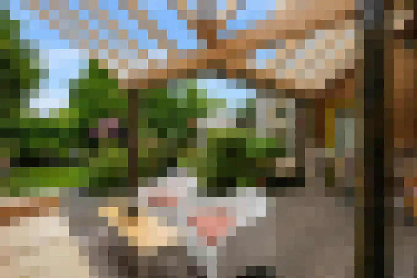 Heuvel 1 c Vaals thumbnail 22