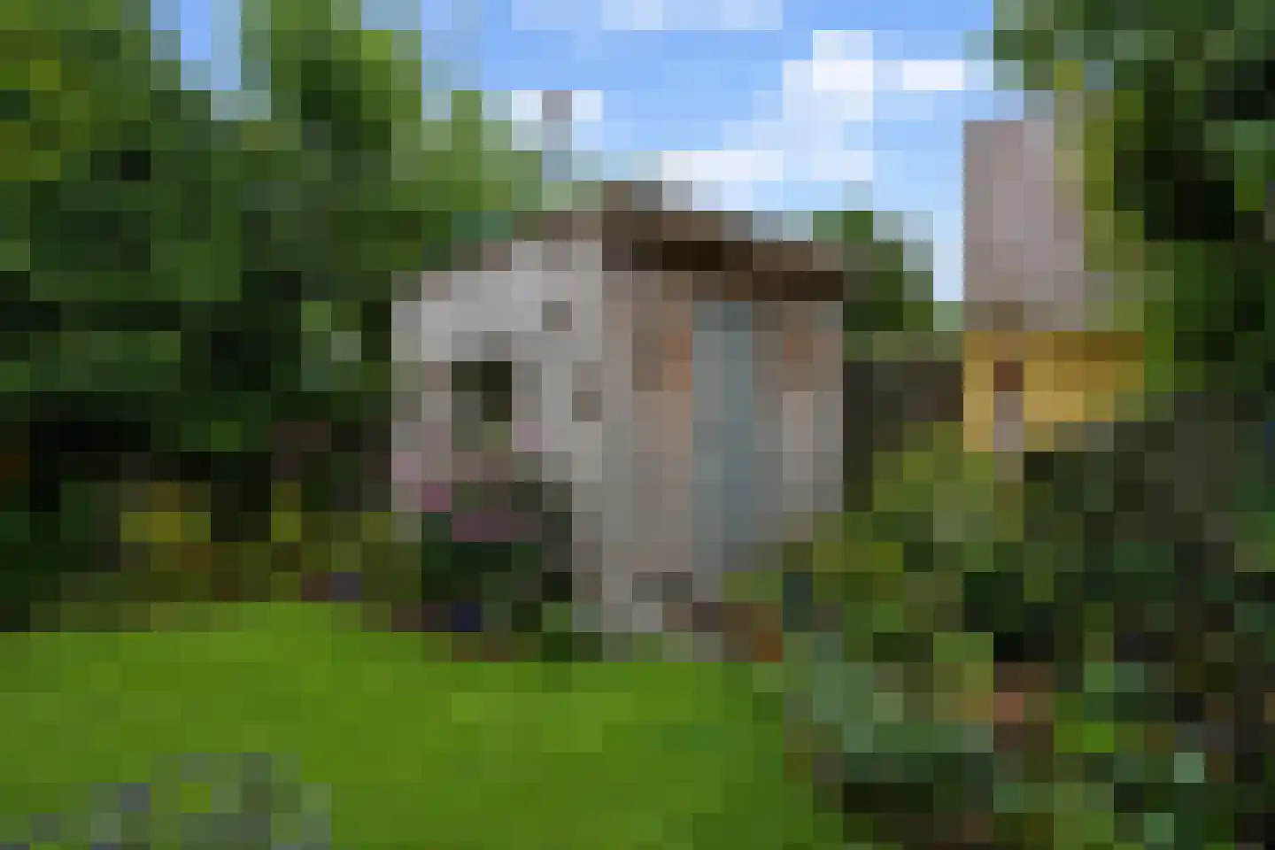 Heuvel 1 c Vaals thumbnail 26