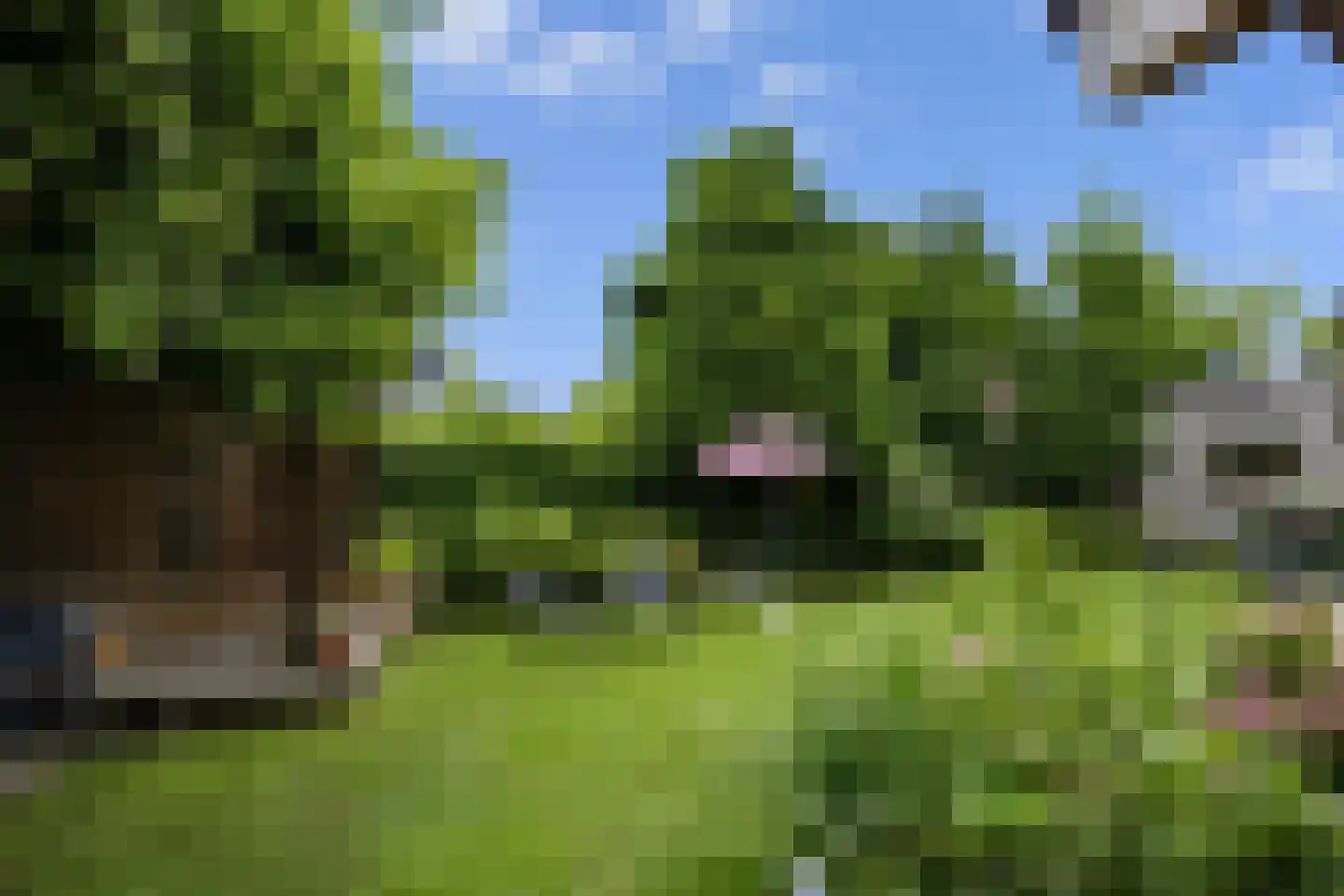 Heuvel 1 c Vaals thumbnail 27
