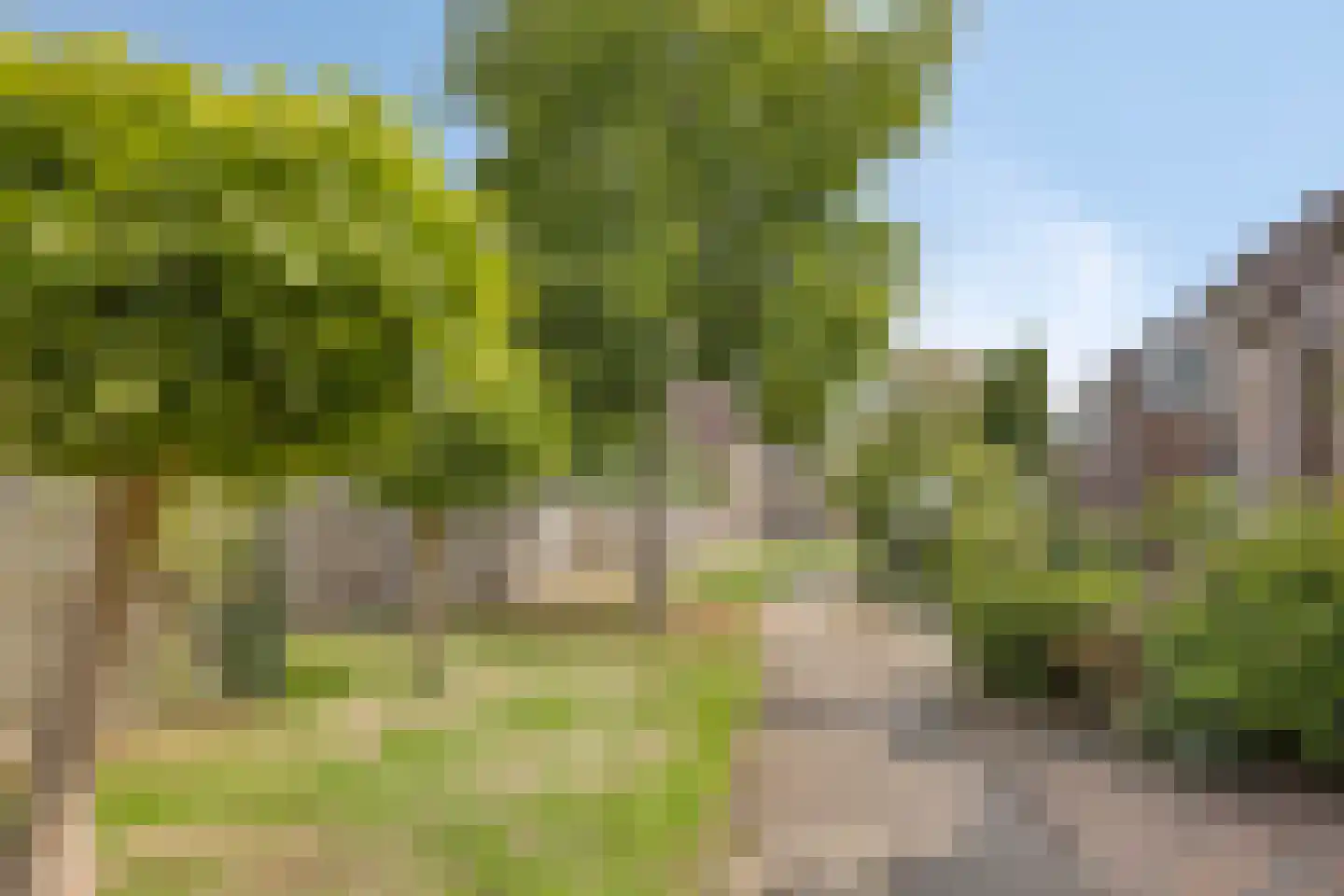 Heuvel 1 Roermond thumbnail 40