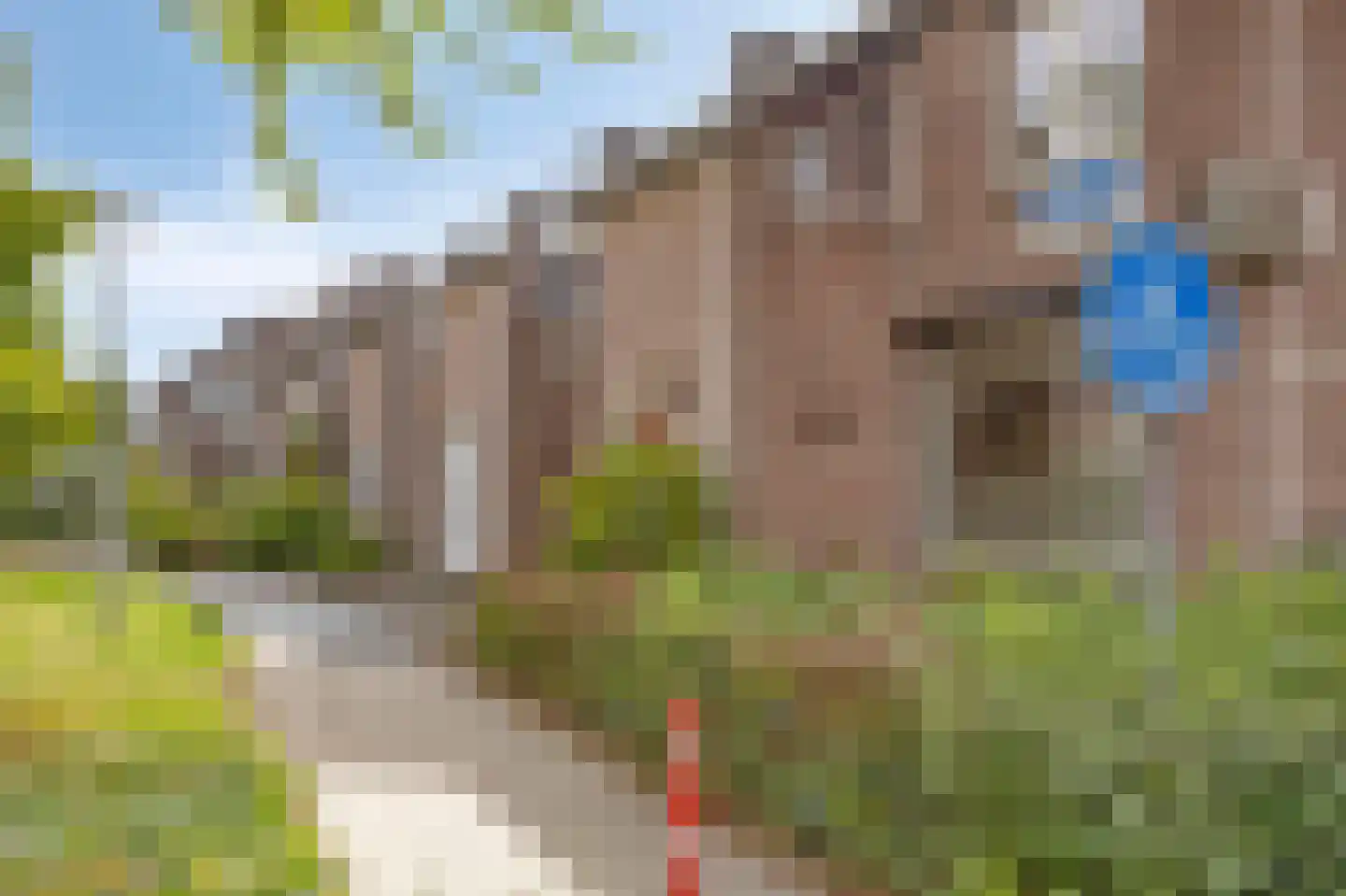 Heuvel 1 Roermond thumbnail 41