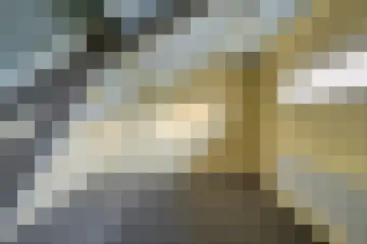Heuvel 1 Soerendonk thumbnail 13