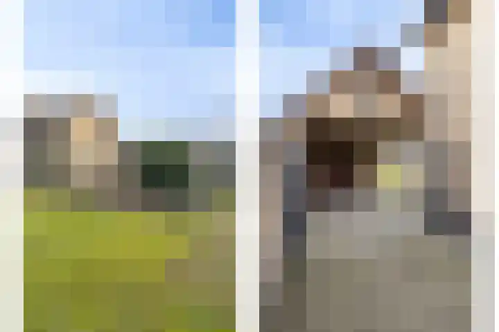 Heuvel 1 Soerendonk thumbnail 17