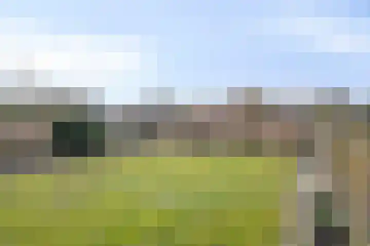 Heuvel 1 Soerendonk thumbnail 19