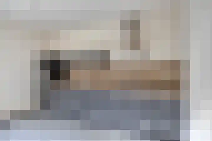 Heuvel 1 Soerendonk thumbnail 5