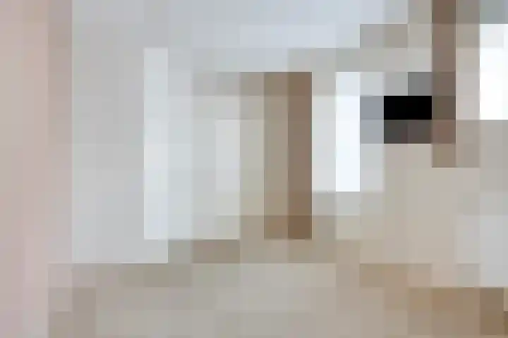 Heuvel 1 Soerendonk thumbnail 8