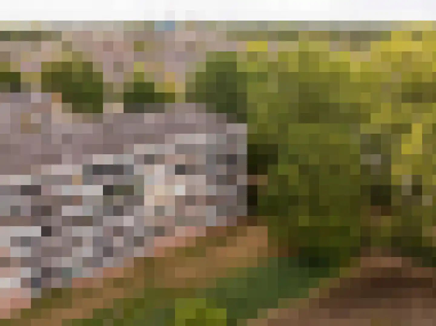 Heuvel 107 Druten thumbnail 10