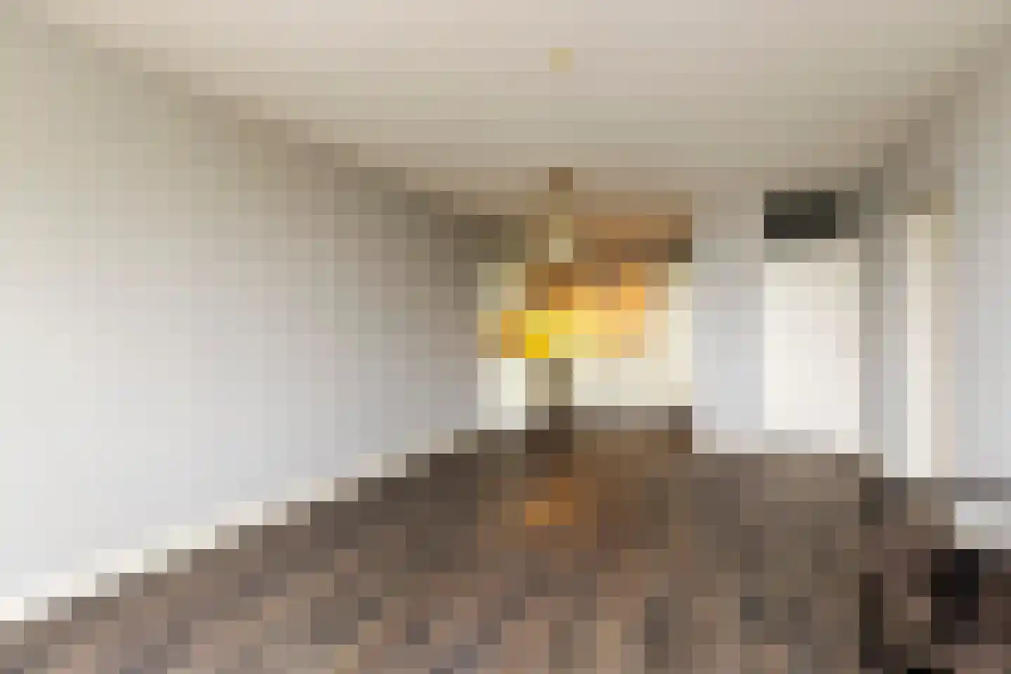 Heuvel 107 Druten thumbnail 19
