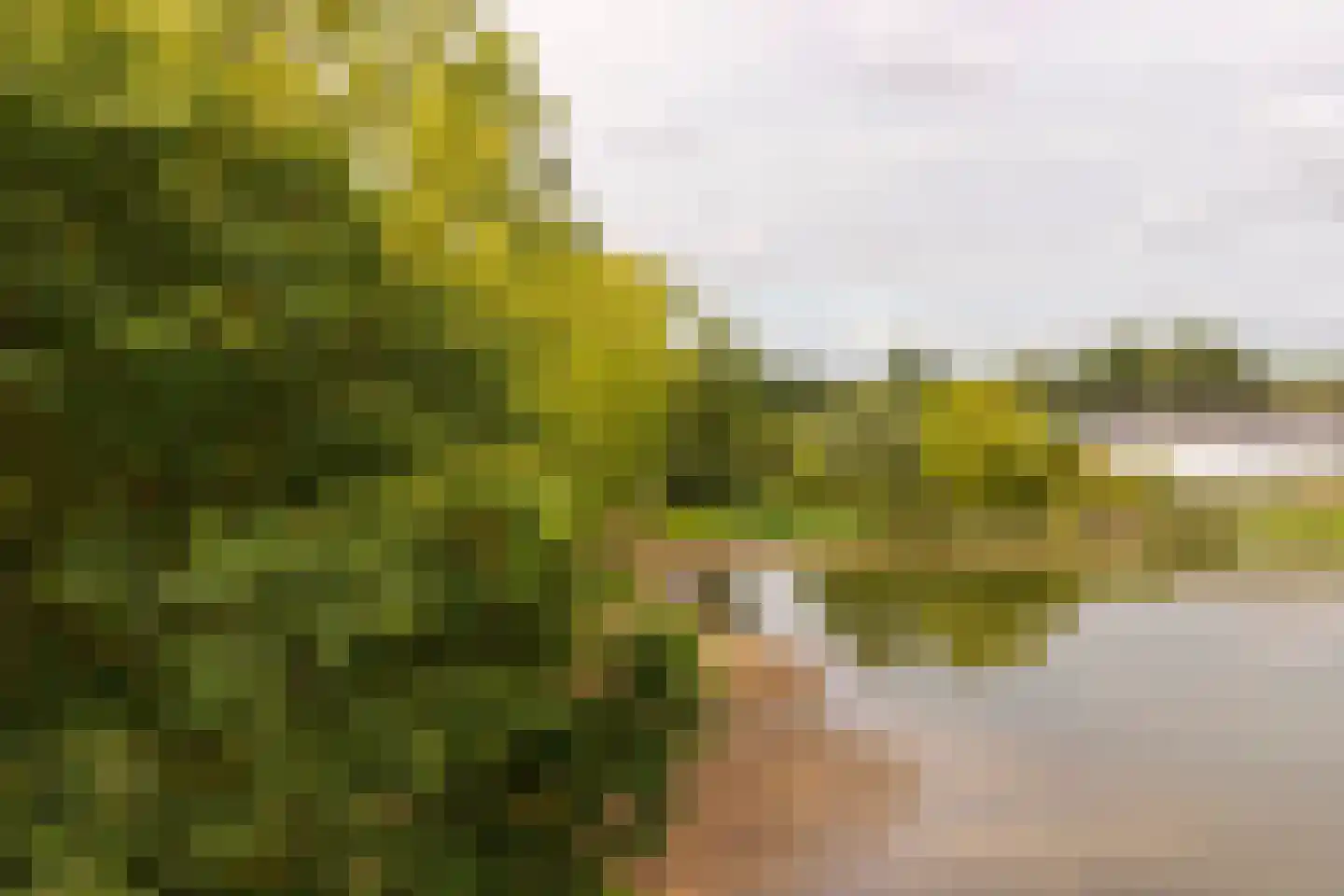 Heuvel 107 Druten thumbnail 28