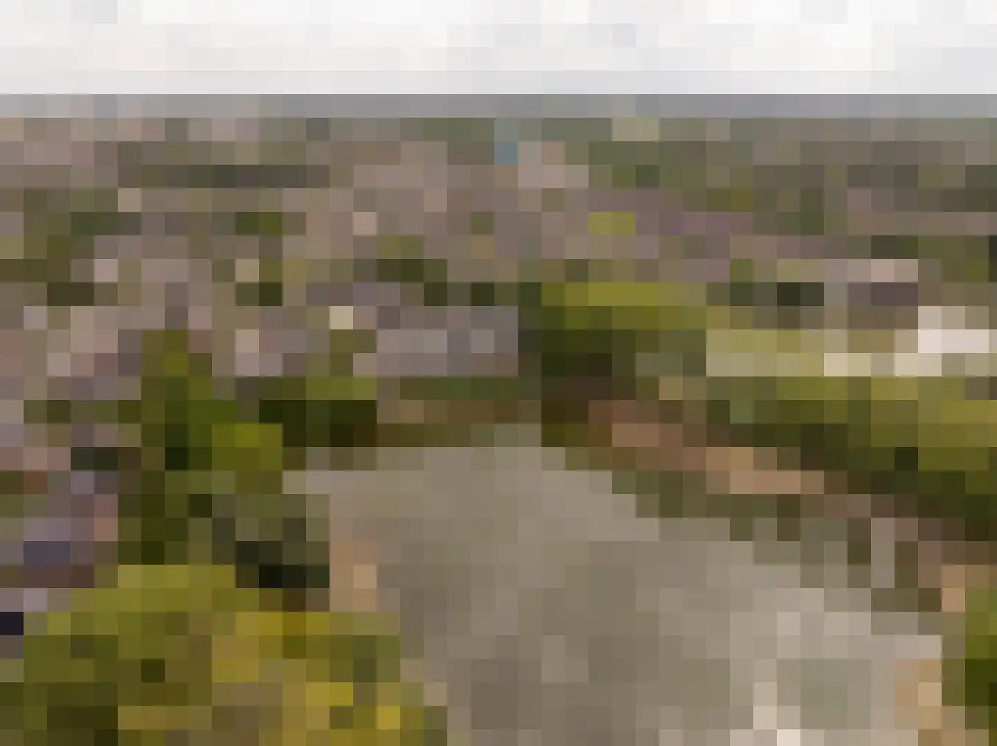 Heuvel 107 Druten thumbnail 4