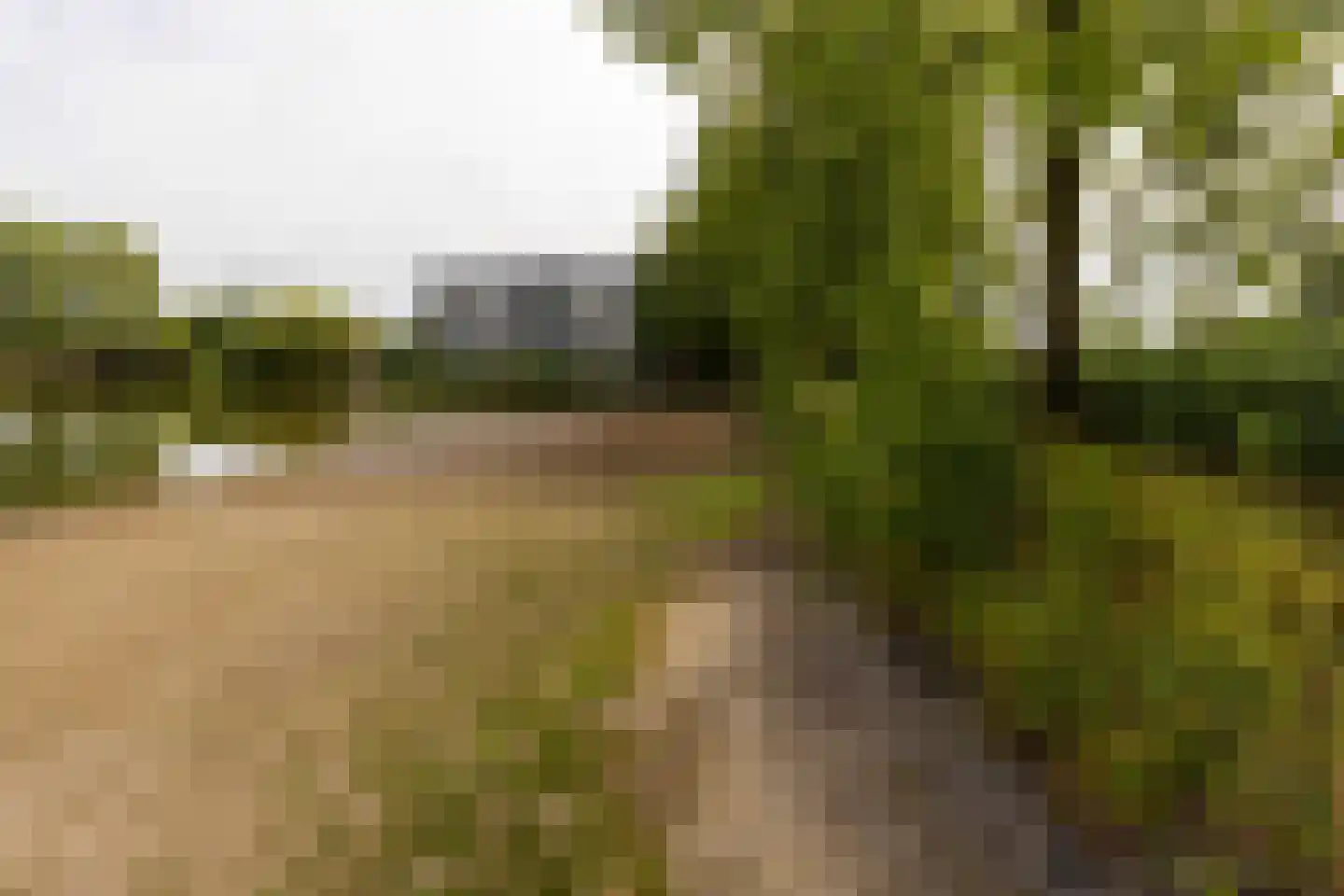 Heuvel 107 Druten thumbnail 5