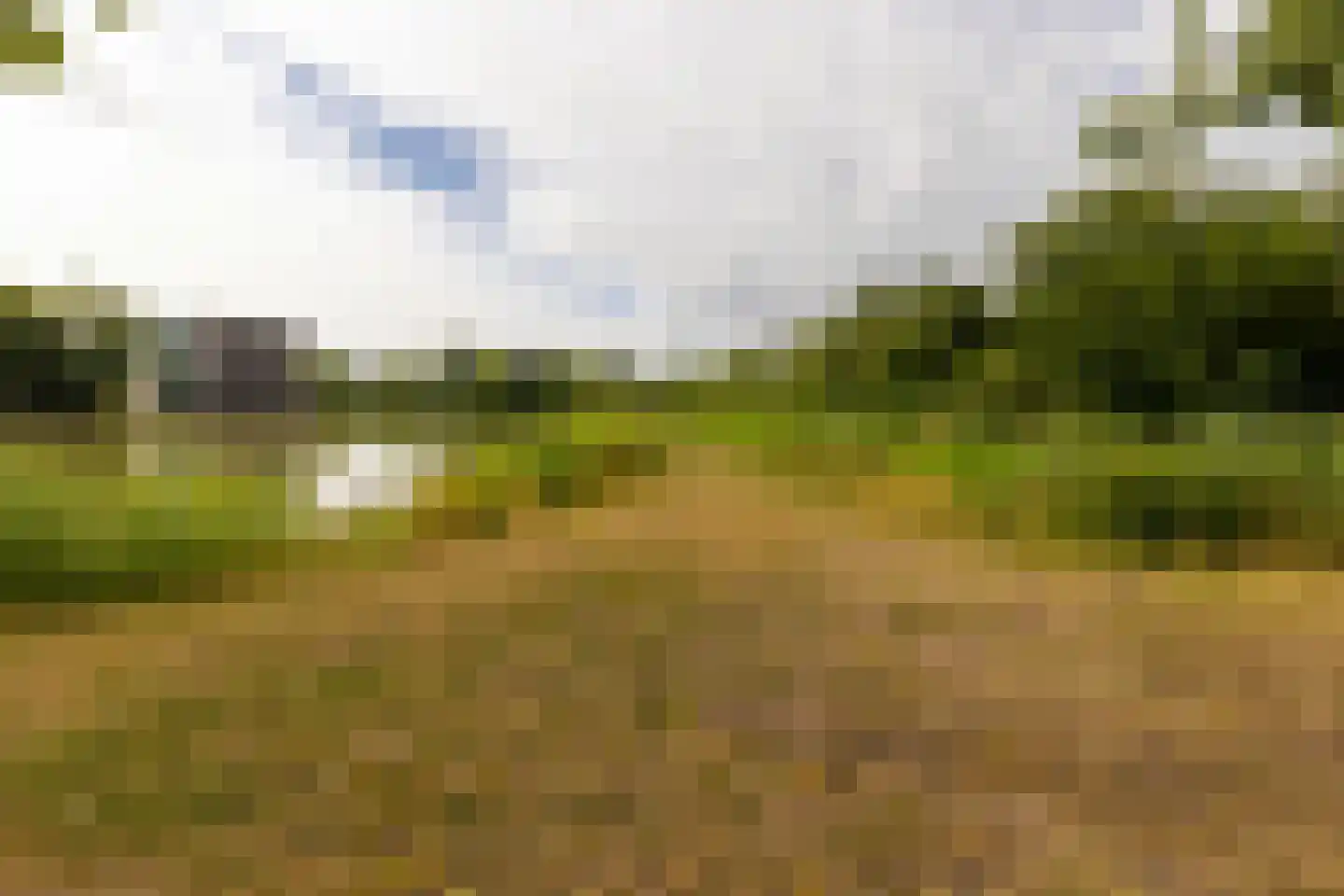 Heuvel 107 Druten thumbnail 6